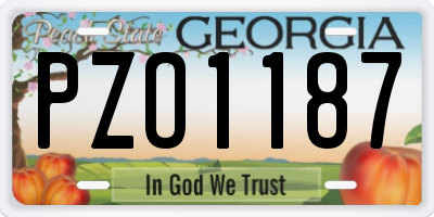 GA license plate PZO1187