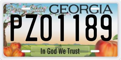 GA license plate PZO1189