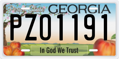 GA license plate PZO1191