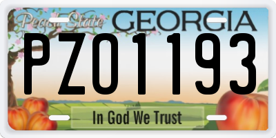 GA license plate PZO1193