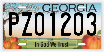 GA license plate PZO1203