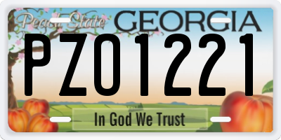 GA license plate PZO1221