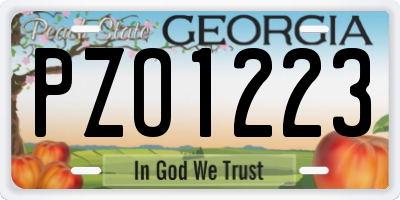 GA license plate PZO1223