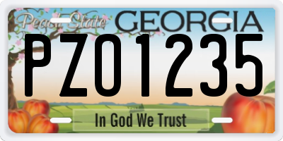 GA license plate PZO1235