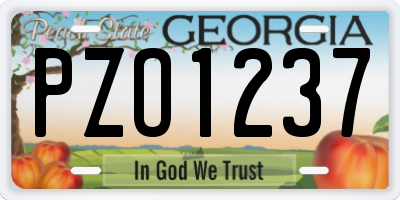 GA license plate PZO1237