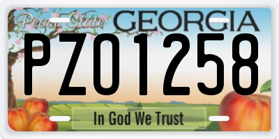 GA license plate PZO1258
