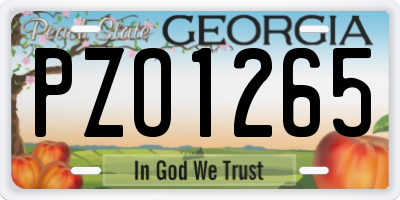 GA license plate PZO1265