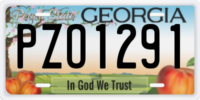 GA license plate PZO1291