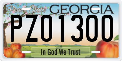GA license plate PZO1300