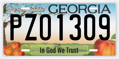 GA license plate PZO1309