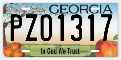 GA license plate PZO1317