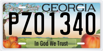 GA license plate PZO1340