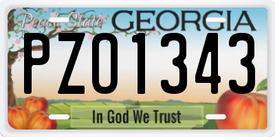 GA license plate PZO1343