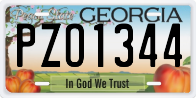 GA license plate PZO1344