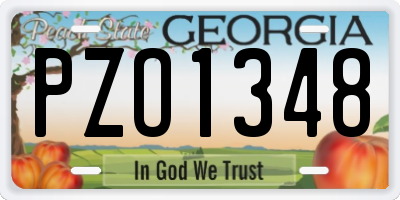 GA license plate PZO1348