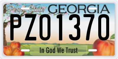 GA license plate PZO1370
