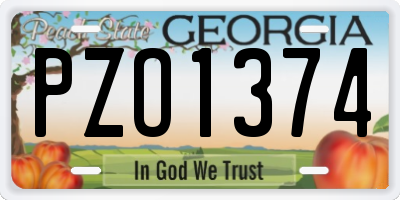 GA license plate PZO1374