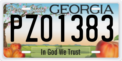GA license plate PZO1383