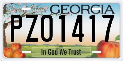 GA license plate PZO1417