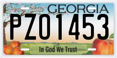 GA license plate PZO1453