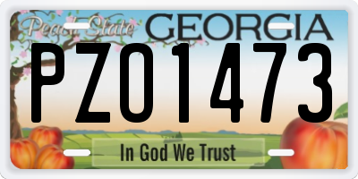 GA license plate PZO1473