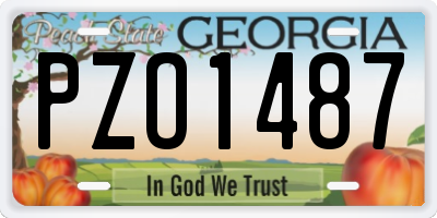 GA license plate PZO1487