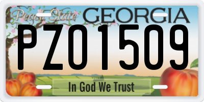 GA license plate PZO1509