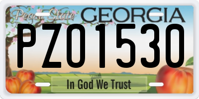 GA license plate PZO1530