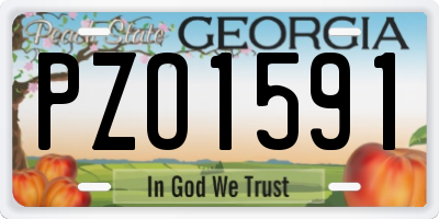 GA license plate PZO1591
