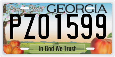 GA license plate PZO1599