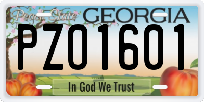 GA license plate PZO1601