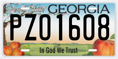 GA license plate PZO1608