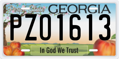 GA license plate PZO1613