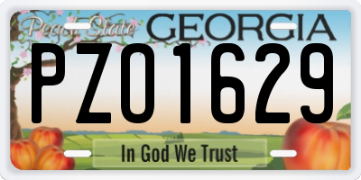 GA license plate PZO1629