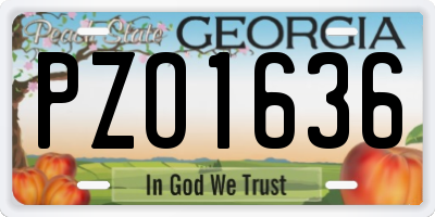 GA license plate PZO1636