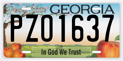 GA license plate PZO1637