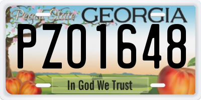 GA license plate PZO1648