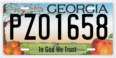 GA license plate PZO1658