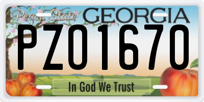 GA license plate PZO1670