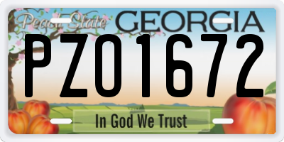 GA license plate PZO1672