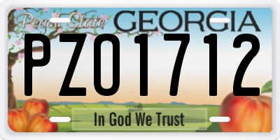 GA license plate PZO1712