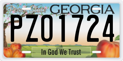 GA license plate PZO1724