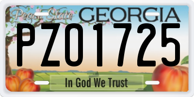 GA license plate PZO1725