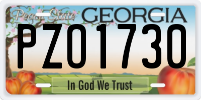 GA license plate PZO1730