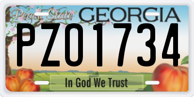GA license plate PZO1734