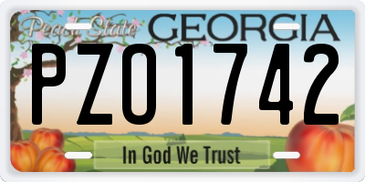 GA license plate PZO1742