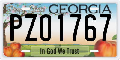 GA license plate PZO1767