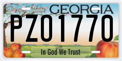 GA license plate PZO1770