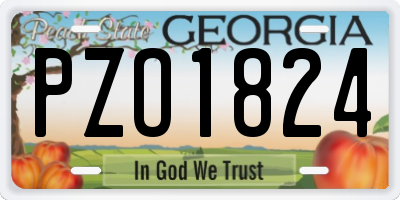 GA license plate PZO1824