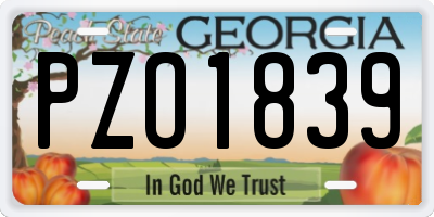 GA license plate PZO1839